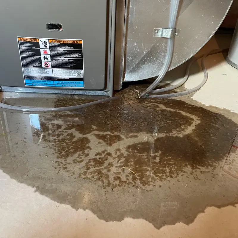 Appliance Leak Cleanup in Heeia, HI